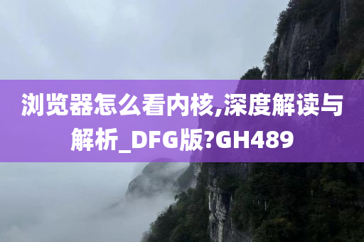 浏览器怎么看内核,深度解读与解析_DFG版?GH489