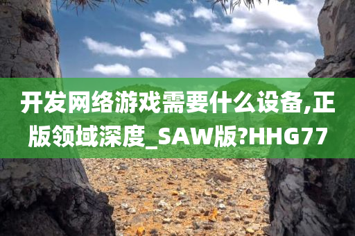 开发网络游戏需要什么设备,正版领域深度_SAW版?HHG77