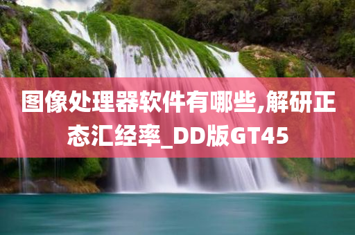 图像处理器软件有哪些,解研正态汇经率_DD版GT45