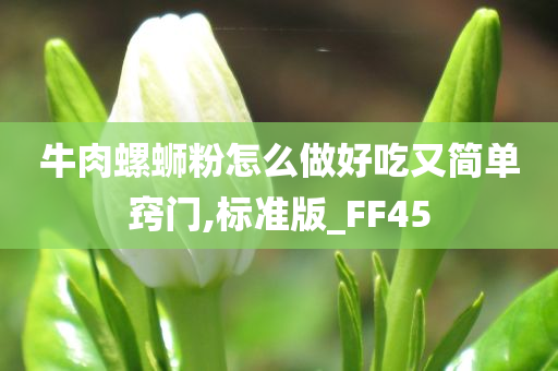 牛肉螺蛳粉怎么做好吃又简单窍门,标准版_FF45