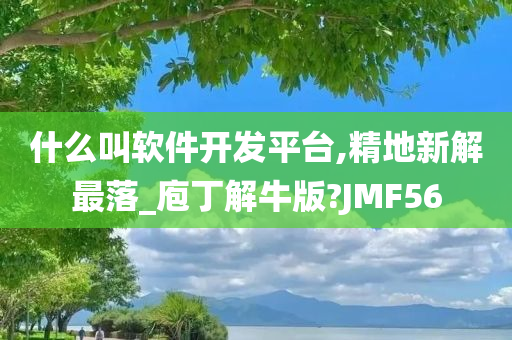 什么叫软件开发平台,精地新解最落_庖丁解牛版?JMF56