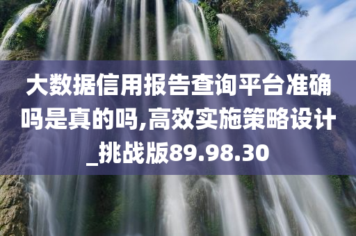 大数据信用报告查询平台准确吗是真的吗,高效实施策略设计_挑战版89.98.30