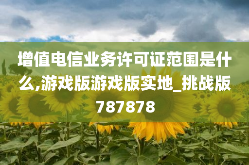 增值电信业务许可证范围是什么,游戏版游戏版实地_挑战版787878