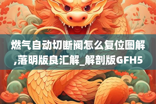 燃气自动切断阀怎么复位图解,落明版良汇解_解剖版GFH5