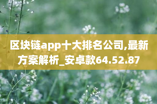 区块链app十大排名公司,最新方案解析_安卓款64.52.87