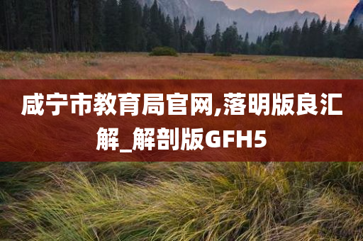 咸宁市教育局官网,落明版良汇解_解剖版GFH5