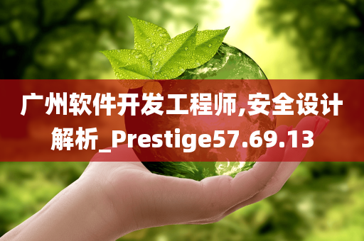 广州软件开发工程师,安全设计解析_Prestige57.69.13