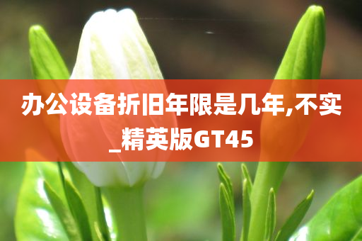 办公设备折旧年限是几年,不实_精英版GT45