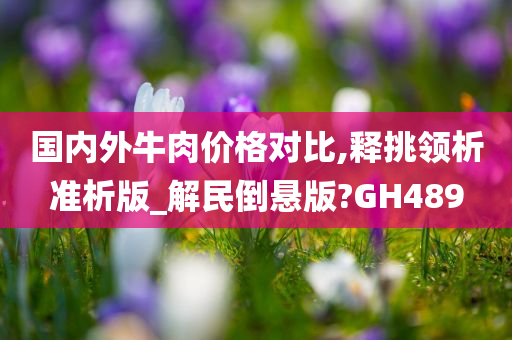 国内外牛肉价格对比,释挑领析准析版_解民倒悬版?GH489