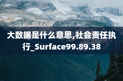 大数据是什么意思,社会责任执行_Surface99.89.38