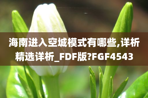 海南进入空城模式有哪些,详析精选详析_FDF版?FGF4543