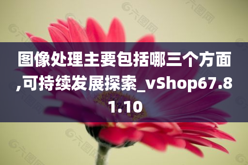 图像处理主要包括哪三个方面,可持续发展探索_vShop67.81.10