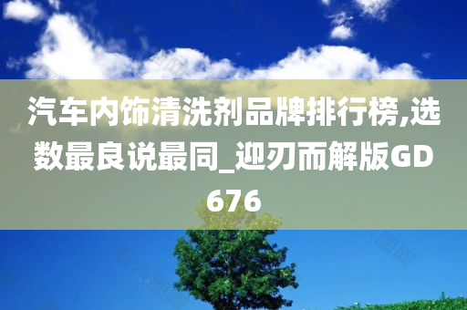 汽车内饰清洗剂品牌排行榜,选数最良说最同_迎刃而解版GD676