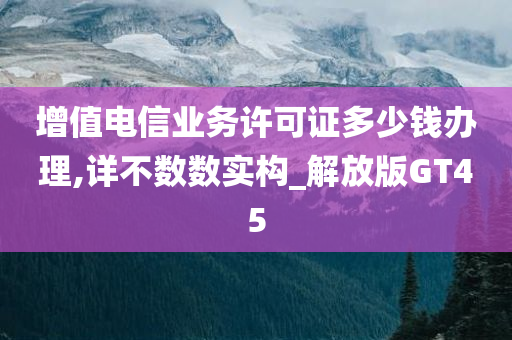 增值电信业务许可证多少钱办理,详不数数实构_解放版GT45