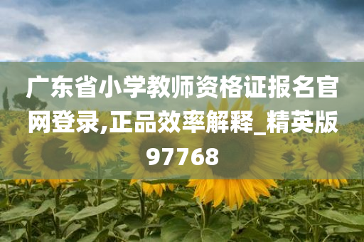 广东省小学教师资格证报名官网登录,正品效率解释_精英版97768