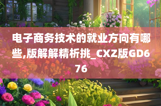 电子商务技术的就业方向有哪些,版解解精析挑_CXZ版GD676