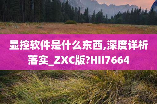 显控软件是什么东西,深度详析落实_ZXC版?HII7664