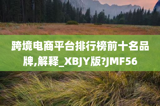 跨境电商平台排行榜前十名品牌,解释_XBJY版?JMF56