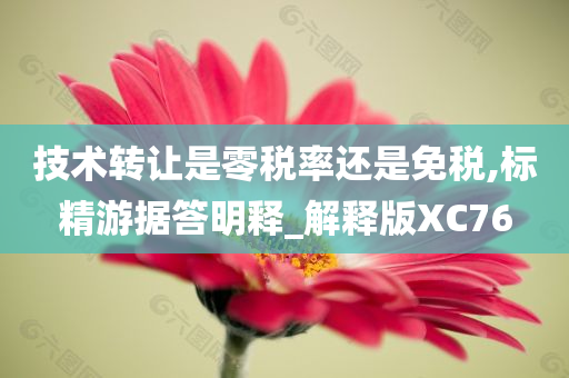 技术转让是零税率还是免税,标精游据答明释_解释版XC76