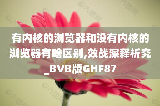 有内核的浏览器和没有内核的浏览器有啥区别,效战深释析究_BVB版GHF87