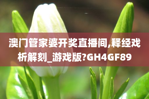 澳门管家婆开奖直播间,释经戏析解刻_游戏版?GH4GF89