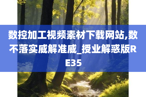 数控加工视频素材下载网站,数不落实威解准威_授业解惑版RE35