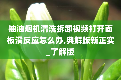 抽油烟机清洗拆卸视频打开面板没反应怎么办,典解版新正实_了解版