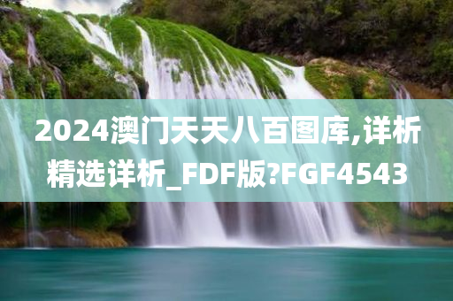 2024澳门天天八百图库,详析精选详析_FDF版?FGF4543