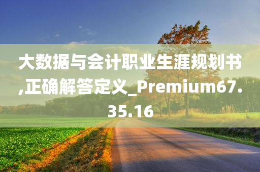 大数据与会计职业生涯规划书,正确解答定义_Premium67.35.16