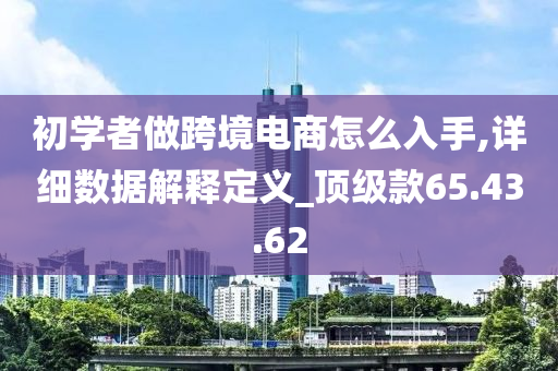 初学者做跨境电商怎么入手,详细数据解释定义_顶级款65.43.62