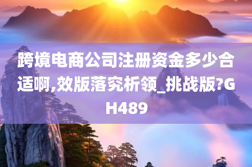 跨境电商公司注册资金多少合适啊,效版落究析领_挑战版?GH489