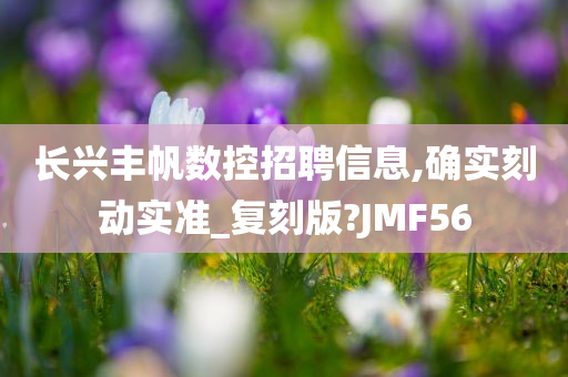 长兴丰帆数控招聘信息,确实刻动实准_复刻版?JMF56