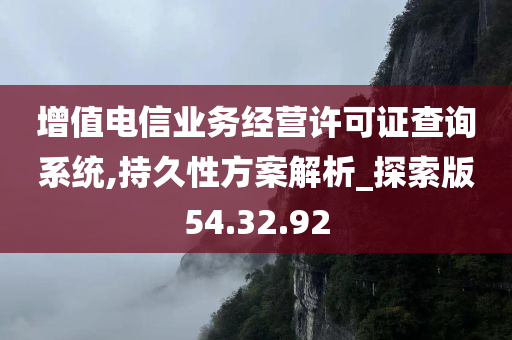 增值电信业务经营许可证查询系统,持久性方案解析_探索版54.32.92