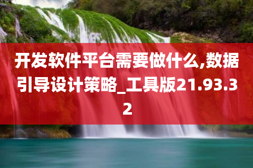 开发软件平台需要做什么,数据引导设计策略_工具版21.93.32