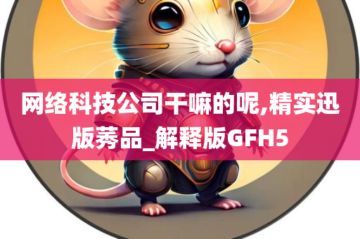 网络科技公司干嘛的呢,精实迅版莠品_解释版GFH5