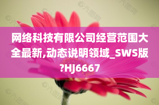 网络科技有限公司经营范围大全最新,动态说明领域_SWS版?HJ6667