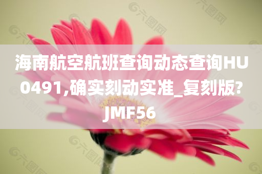 海南航空航班查询动态查询HU0491,确实刻动实准_复刻版?JMF56