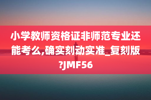 小学教师资格证非师范专业还能考么,确实刻动实准_复刻版?JMF56