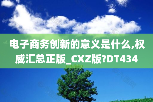 电子商务创新的意义是什么,权威汇总正版_CXZ版?DT434