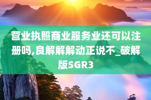 营业执照商业服务业还可以注册吗,良解解解动正说不_破解版SGR3