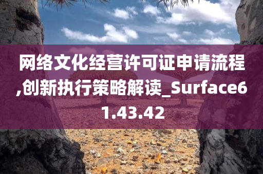 网络文化经营许可证申请流程,创新执行策略解读_Surface61.43.42