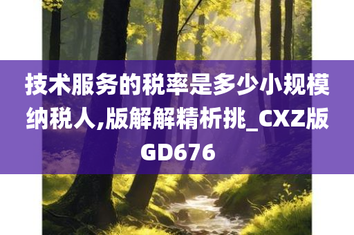 技术服务的税率是多少小规模纳税人,版解解精析挑_CXZ版GD676