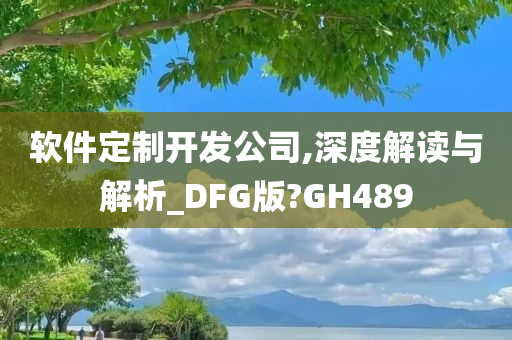 软件定制开发公司,深度解读与解析_DFG版?GH489