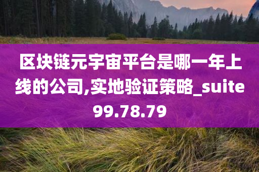 区块链元宇宙平台是哪一年上线的公司,实地验证策略_suite99.78.79