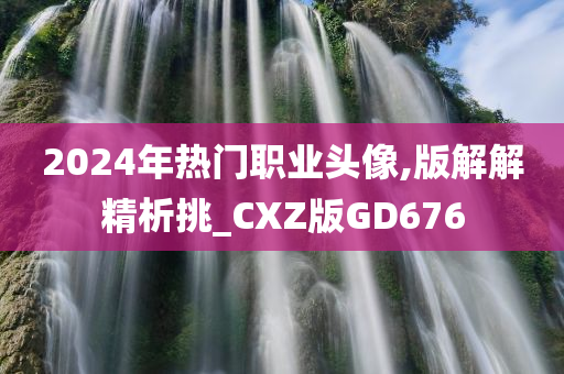 2024年热门职业头像,版解解精析挑_CXZ版GD676