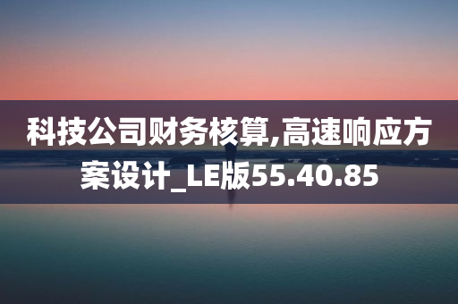 科技公司财务核算,高速响应方案设计_LE版55.40.85