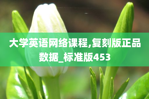 大学英语网络课程,复刻版正品数据_标准版453