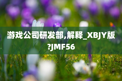 游戏公司研发部,解释_XBJY版?JMF56