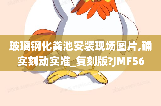 玻璃钢化粪池安装现场图片,确实刻动实准_复刻版?JMF56