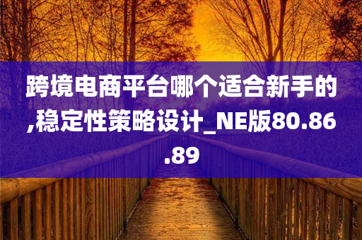 跨境电商平台哪个适合新手的,稳定性策略设计_NE版80.86.89